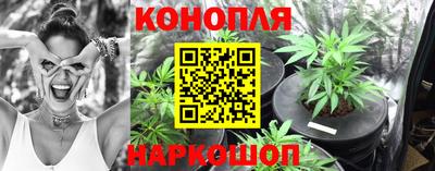 стафф Заводоуковск