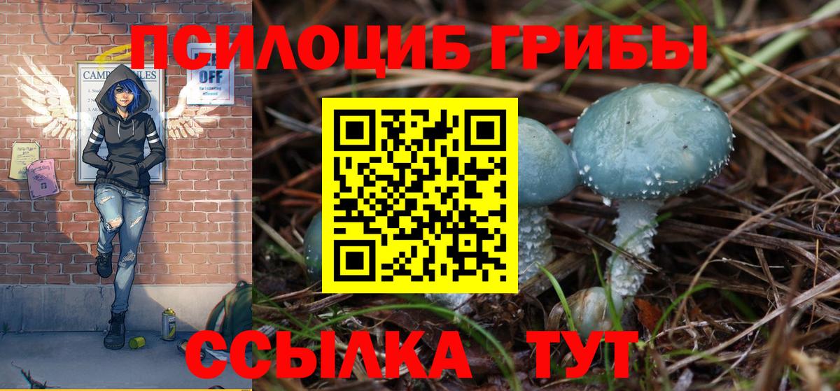 Галлюциногенные грибы GOLDEN TEACHER  Галлюциногенные грибы мицелий  Вход с VPN  Балтийск 